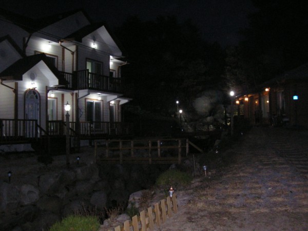 101105_sonamups181947.JPG