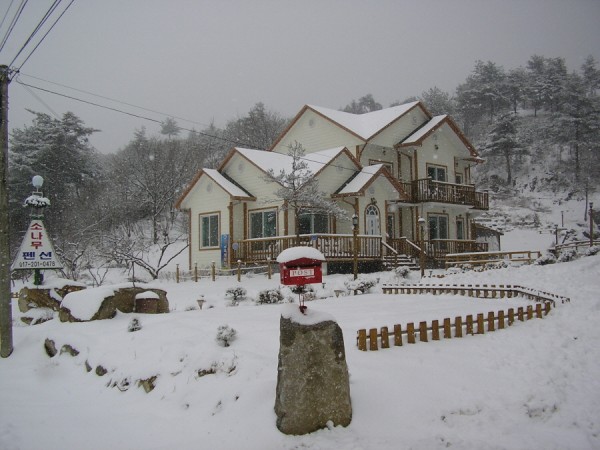 110211_sonamups142226.jpg